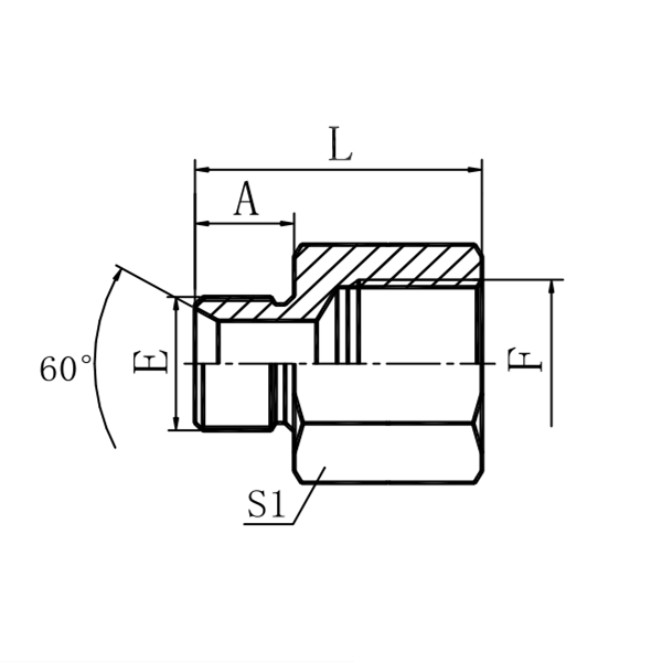 BSPP Female Adaptor 5B Buy BSPP Female Adapter Parker, BSPP female Adapter dimensions, BSPP