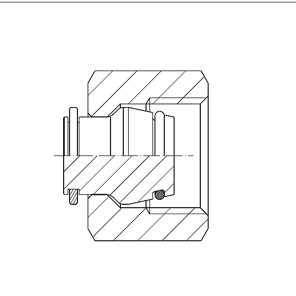 Metric Hydraulic Caps and Plugs DIN 908 Screw Plug FITSC