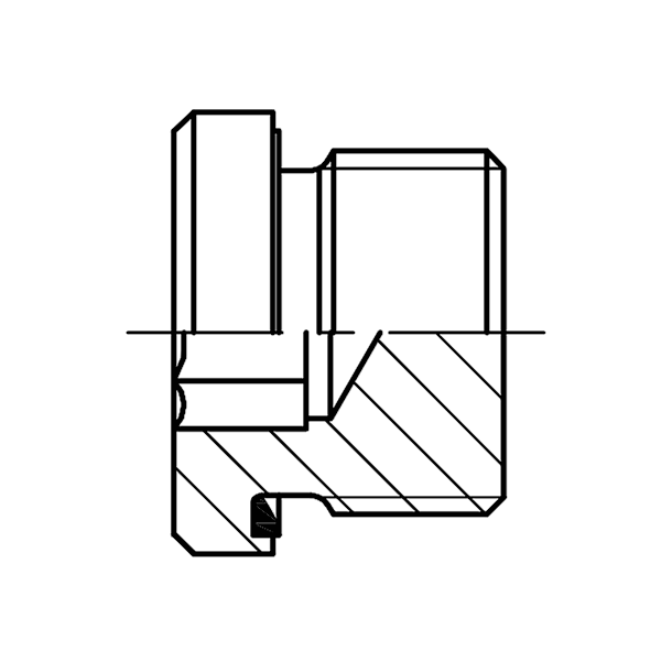 Metric Hydraulic Caps and Plugs DIN 908 Screw Plug FITSC